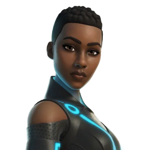 Commandline — Fortnite skin