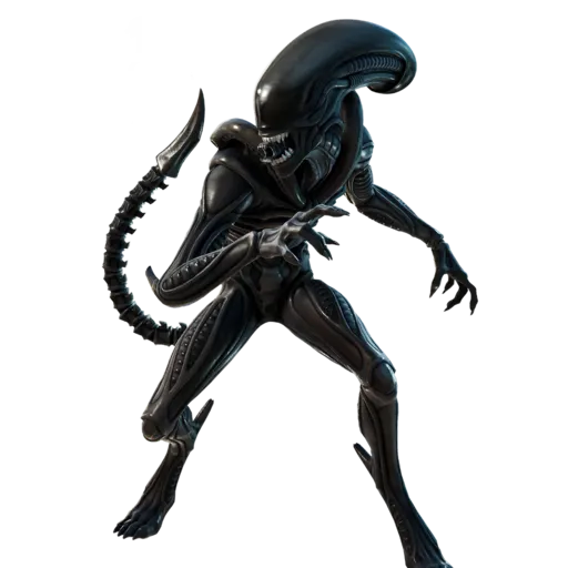 Xenomorph